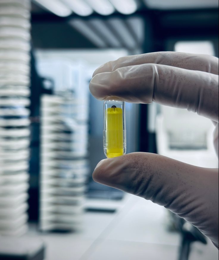 A gloved hand holding the human-scale CORAL capsule in the lab