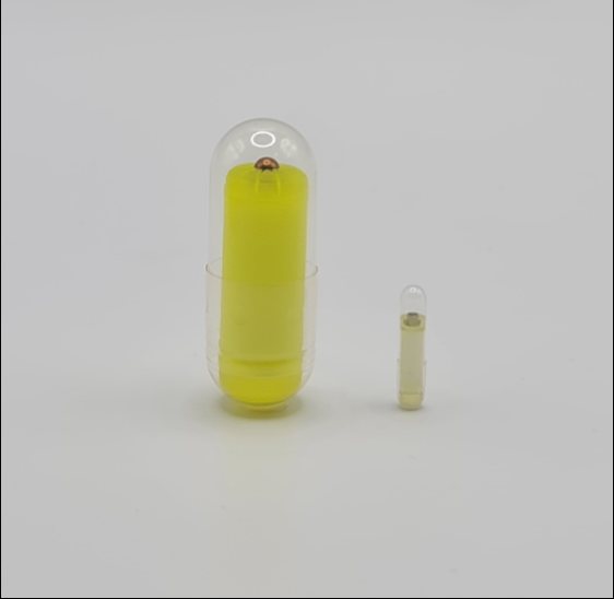 Human-scale CORAL capsule beside the much smaller preclinical capsule