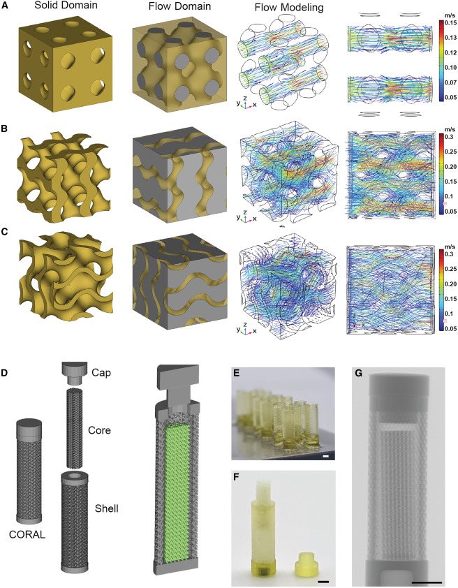 Figure from the Device paper showing the lattice unit cells, flow modelling and the capsule's cap, core and shell